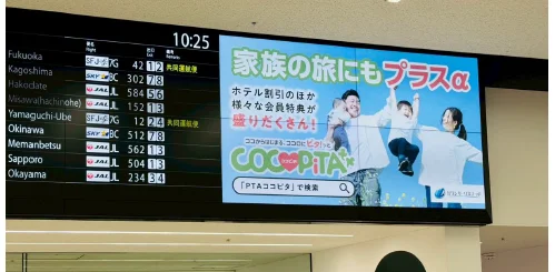 「COCOPiTA（ココピタ）」の広告
